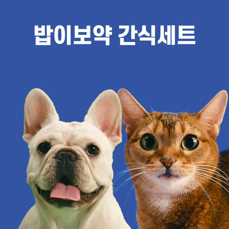 밥이보약 간식세트(강아지/고양이)