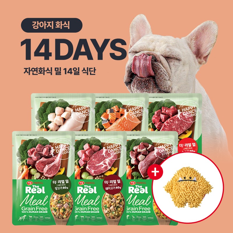 강아지 그레인프리 화식 2주 식단(60g*14팩) + 토이 증정(상온 분리배송)
